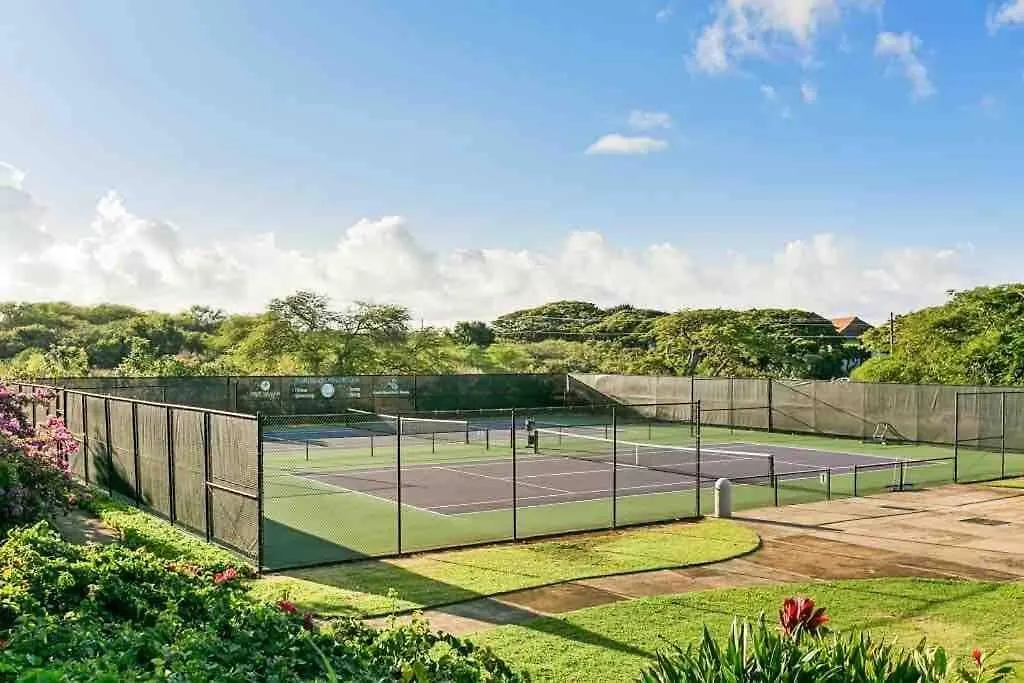 New - 7Bd Farmhouse Estate - Ac Pool Slide Gym Pickleball Koloa Holiday home
